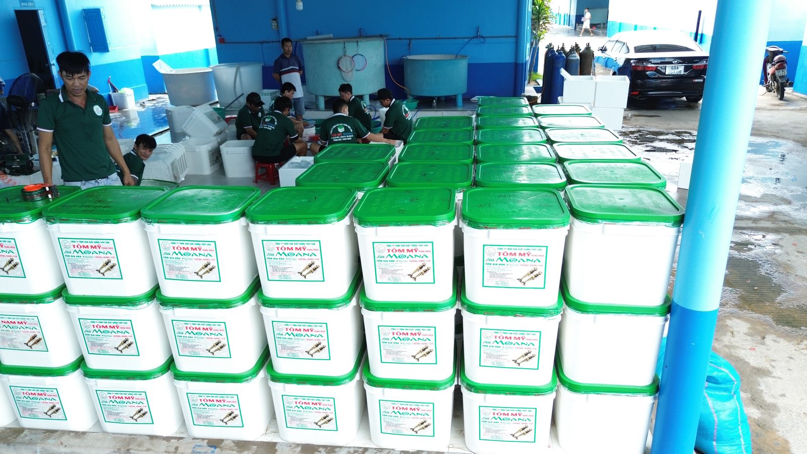 Toàn cảnh cơ sở sản xuất giống Tôm Mỹ Thùng Nhựa Vĩnh Hải Khánh Hòa