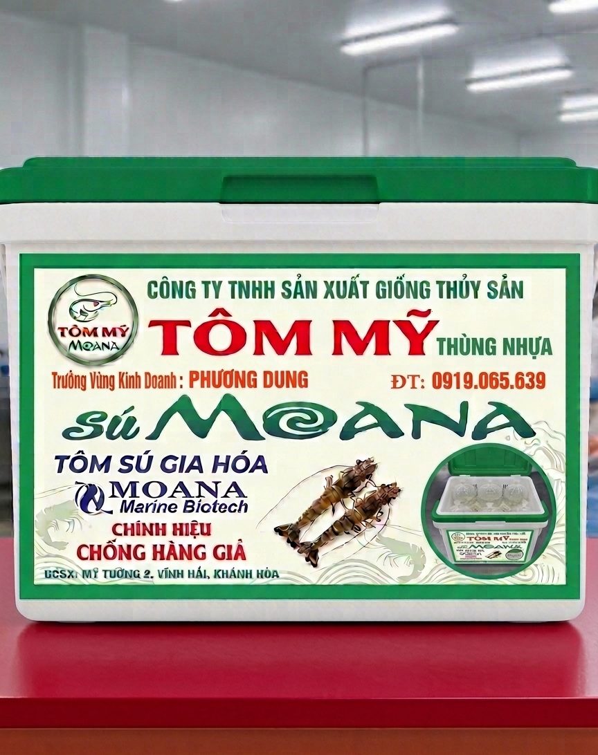 Thùng nhựa chống giả Tôm Mỹ sú Moana xếp sẵn